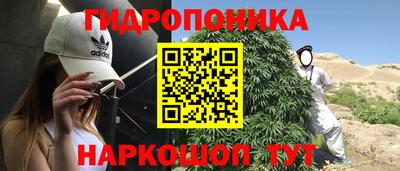 стафф Бузулук